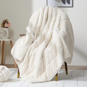 Sherpa Weighted Blanket (15 lbs)