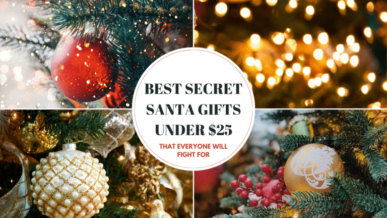 20+ Best Secret Santa Gifts Under  That Everyone Will Fight For